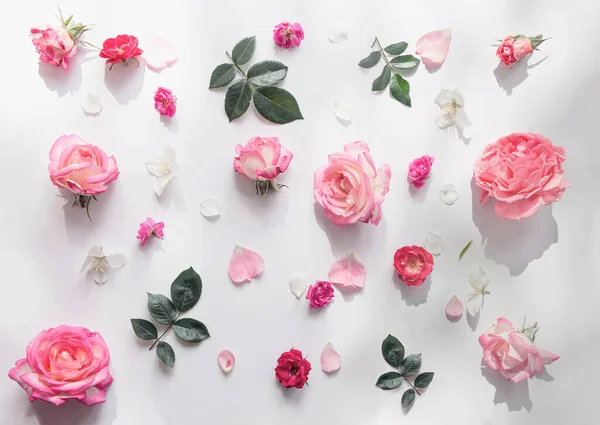 Patrón Verano Hecho Hermosos Brotes Rosa Sobre Fondo Blanco Concepto — Foto de Stock