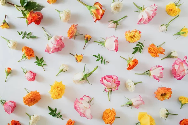 Patrón Floral Verano Hecho Hermosos Brotes Rosa Sobre Fondo Blanco — Foto de Stock