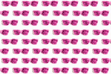 Beyaz arka planda gül tomurcukları olan kırmızı güneş gözlüklerinden oluşan yaratıcı bir desen. Yaz moda konsepti. Üst Manzara. Düz yatıyordu