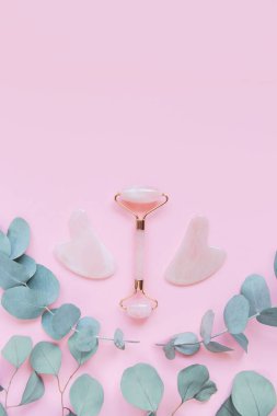 Ev spası için yüz masajı seti. Okaliptüs dallı pembe pastel arka planda gül kuvarstan yapılmış yüz silindiri ve gua sha masaj aleti. Doğal tedavi konsepti. Üst Manzara. Düz yatıyordu