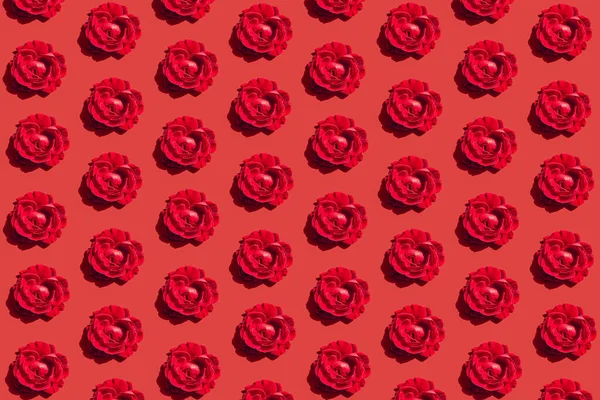 Δημιουργικό Μοτίβο Από Κόκκινα Μπουμπούκια Τριαντάφυλλου Φωτεινό Φόντο Ελάχιστο Στυλ — Φωτογραφία Αρχείου