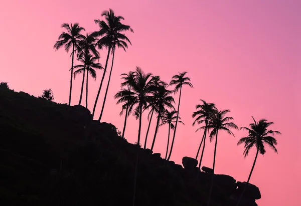 Sihouettes of palm trees on the stone hill at dawn — Stock Photo, Image