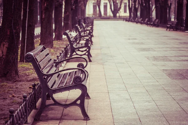 Prázdné lavičky v parku — Stock fotografie