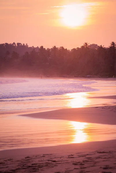 Sunset on the ocean beach with palm trees silhouettes in the bac — Stock Photo, Image