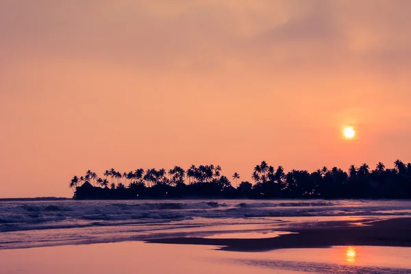 Sunset on the tropical beach — Stock Photo, Image