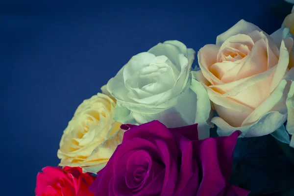 Ramo de rosas de colores con fondo azul de cerca. Tonificado e —  Fotos de Stock