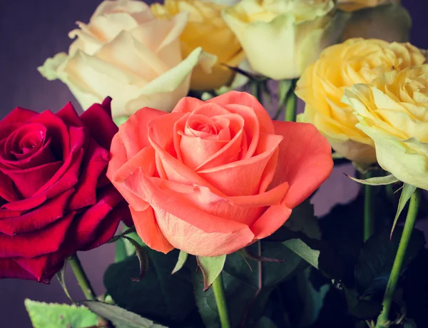 Bukett av färgglada rosor på nära håll. tonas effekt — Stockfoto
