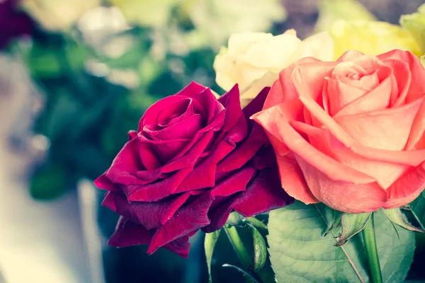 Ramo de rosas de colores de cerca. Efecto tonificado —  Fotos de Stock