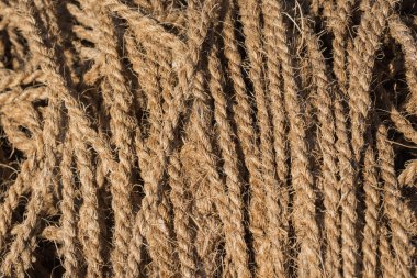 Hindistan cevizi ip doku