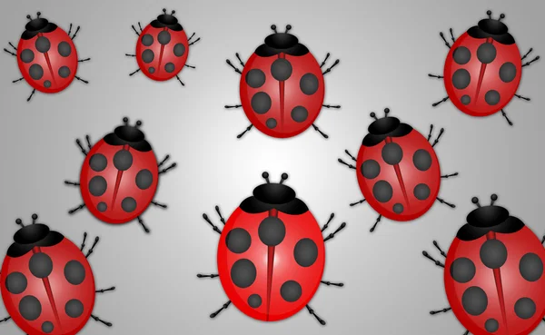 Ladybug Abstrab — стоковое фото