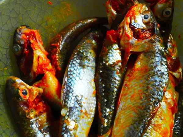 Baharatlı balık yemek için hazırlanıyor
