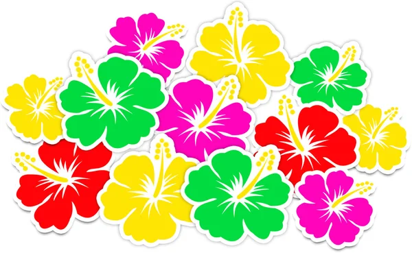 Hibiscus çiçek soyut illüstrasyon