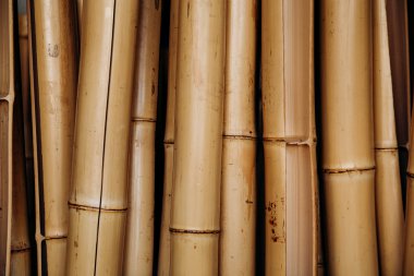 Bambu kamışı doku