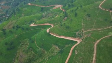 Bulutlu bir günde Tepe Çay Çiftliği