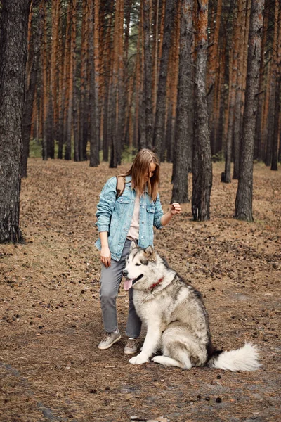 Młoda dziewczyna z psem, Alaskan Malamute, Na zewnątrz jesienią. Zwierzęta domowe — Zdjęcie stockowe