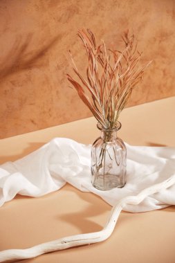 Ev dekorasyonu olarak cam vazoda kurumuş çimenlerin minimalist kompozisyonu. Dekorasyon için kumaş ve beyaz bir ağaç dalı. Sert gölgeler.