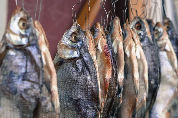 Bir Üzerinde Asılı Akarsu Balığıdır Kurutulmuş — Stok fotoğraf