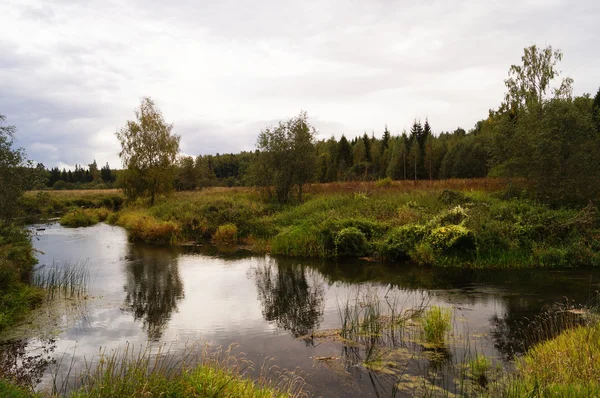 Krásná Podzimní Krajina Libra Stromy — Stock fotografie