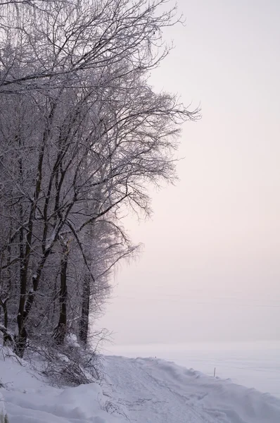 Camino Invierno Gira Árboles Fondo Nieve Vertical —  Fotos de Stock