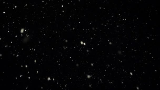 雪花飘落 落在黑色背景上的孤零零的雪 — 图库视频影像