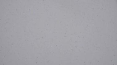 Bulutlu gökyüzünün arka planına kar yağıyor. Kış Karları Yavaş Düşüyor. Yavaşça düşen kar taneleri