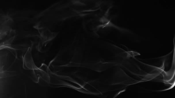 Rodando Fumaça Branca Fundo Preto Vapor Branco Sobe Luz Graciosas — Vídeo de Stock
