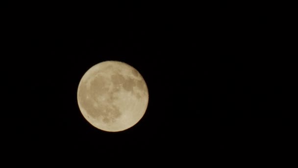 Pełnia Księżyca Nocne Niebo Chmurami Światło Księżyca Piękna Czarna Noc — Wideo stockowe