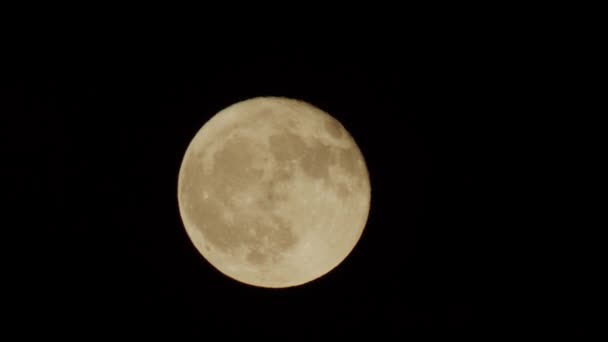 Cielo Nocturno Luna Llena Con Nubes Luz Luna Hermosa Noche — Vídeos de Stock