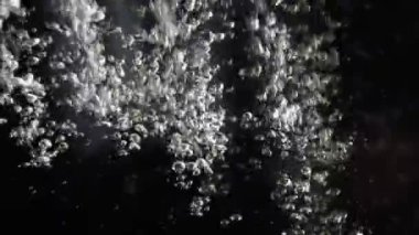 Siyah arkaplanda suda hareket eden hava kabarcıklarından soyut arkaplan