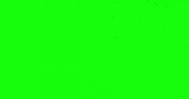 Chroma anahtar kuşlar skyes alfa kanal alt görünümünde ötüyor