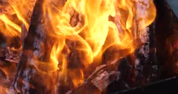 Bonfire Fire Macro Shot Night Huge Flame — Stock Video
