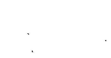 Siyah kuşlar sağdan sola doğru beyaz arka planda uçar.