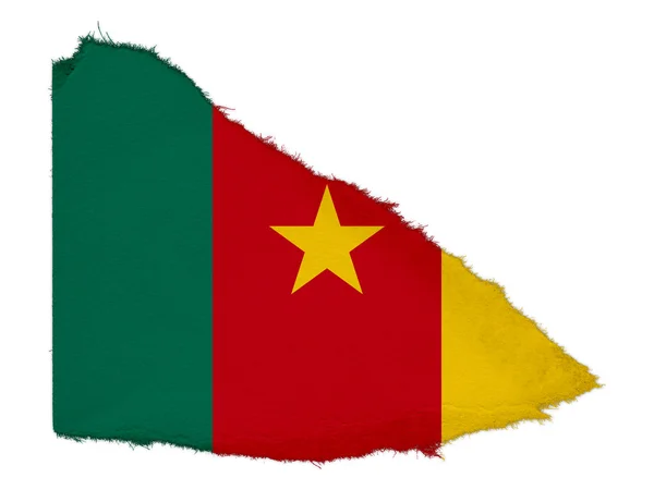 찢어진 종이 스크랩 흰색 배경에 고립 된 카메룬의 국기 — 스톡 사진