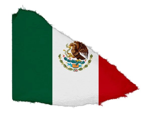 Vlag van Mexico gescheurd papier afval geïsoleerd op witte achtergrond — Stockfoto