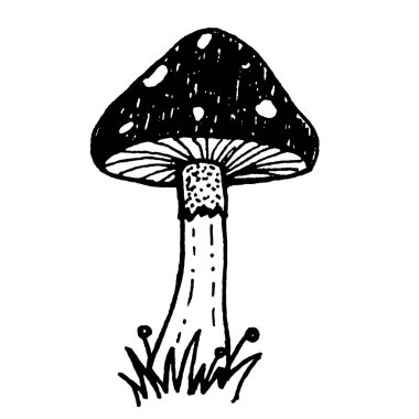 Vektör Mantar Çizimi. Beyaz bir arka planda siyah mürekkep maskotu çizimi