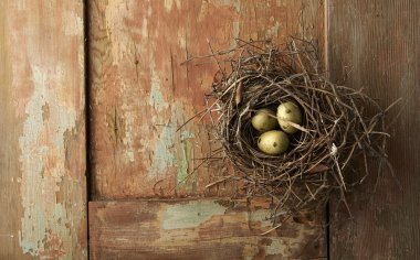 Ahşap üzerine yuvadaki yumurta