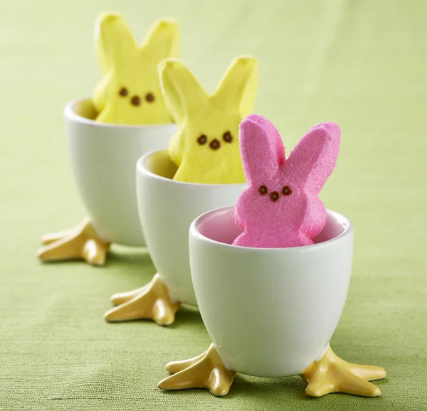 Pascua Peeps en copas en verde Imagen de stock