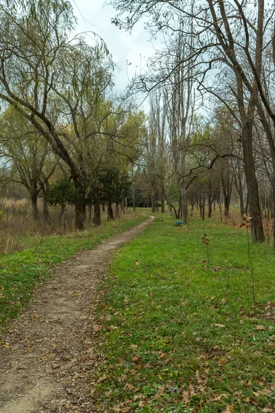 Golden Autumn — Stock Photo, Image