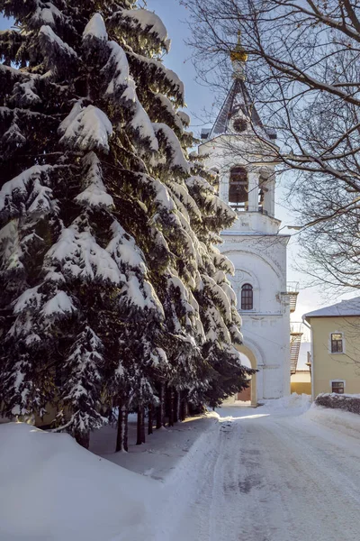 Kościół Aleksandra Newskiego Władimirze Przejrzysty Zimowy Dzień — Zdjęcie stockowe