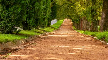 Kislovodsk parkında bir sokak.