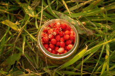 Çimlerin arasındaki kavanozda çilek