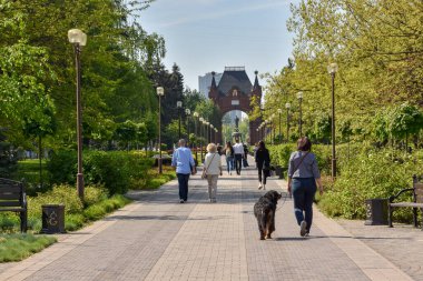 İlkbaharda Krasnodar 'daki Alexandrovsky Bulvarı' nda. Krasnodar. Rusya.
