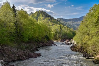 Baharda dağların arka planında fırtınalı bir dağ nehri. Adigea, Rusya