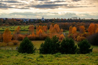 Sonbahar manzarası. Çayır, koyun, saman yığınları