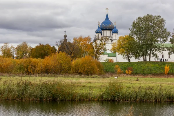 Suzdal Kremlin. Theotokos 'un İsa' nın Doğuşu Katedrali. Suzdal. Rusya