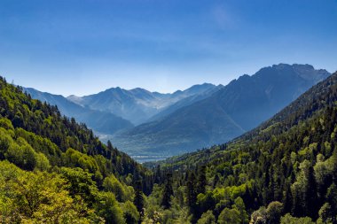 Yazın güzel dağ manzarası. Teberda. Karachay-Çerkessia. Kuzey Kafkasya. Rusya