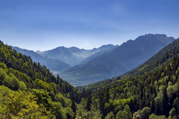Yazın güzel dağ manzarası. Teberda. Karachay-Çerkessia. Kuzey Kafkasya. Rusya