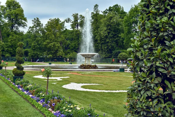 Olasz Szökőkút Peterhof Park Oroszország — Stock Fotó