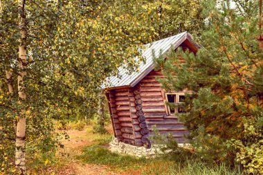 Ormanda küçük bir kulübe.