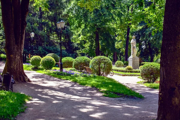 Yazın yeşil park. Kislovodsk. Kuzey Kafkasya. Rusya.